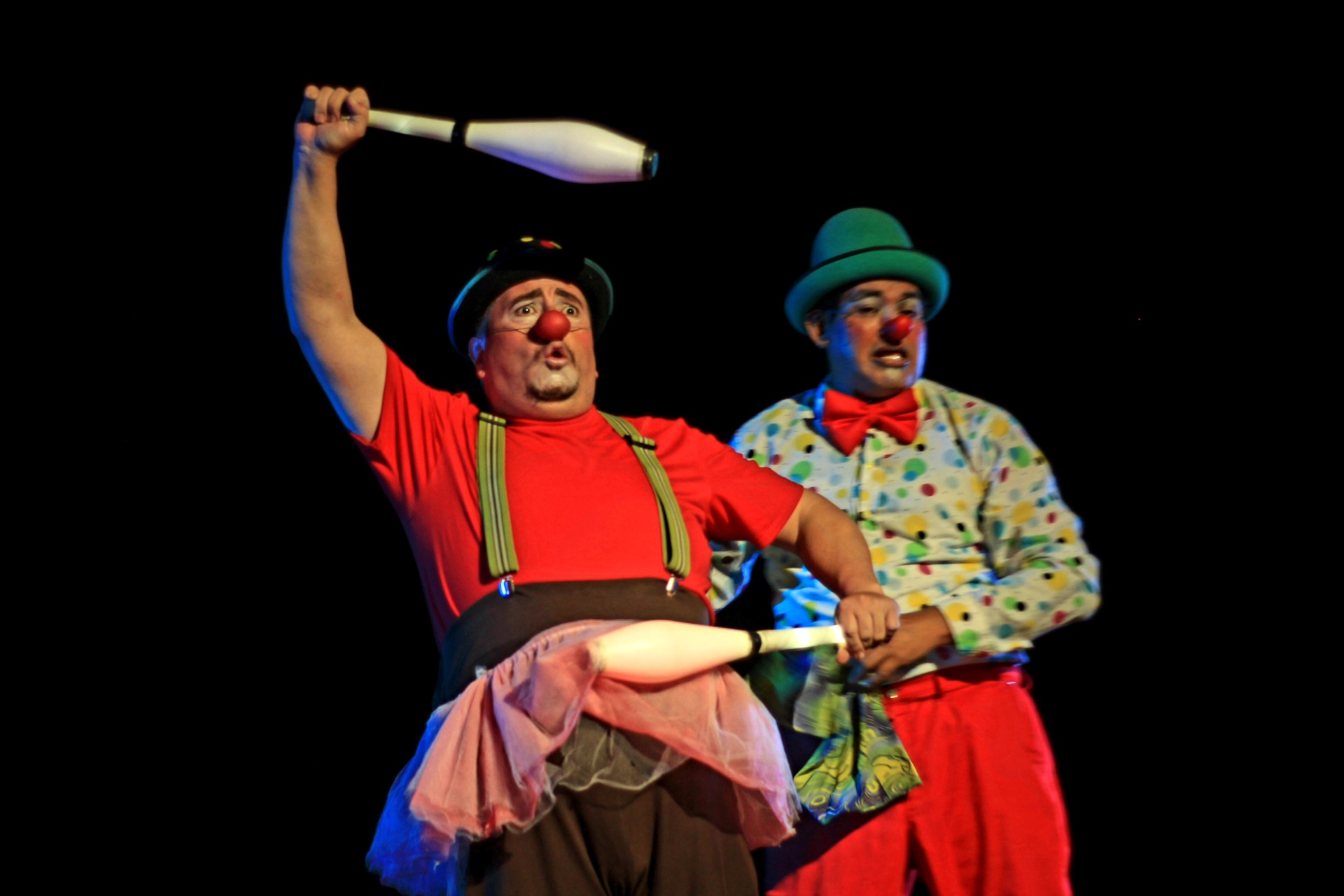 Iguana Ceibo (Portoviejo)