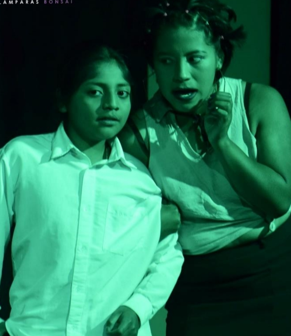 Colectivo Lamparas Bonsaï (Otavalo)